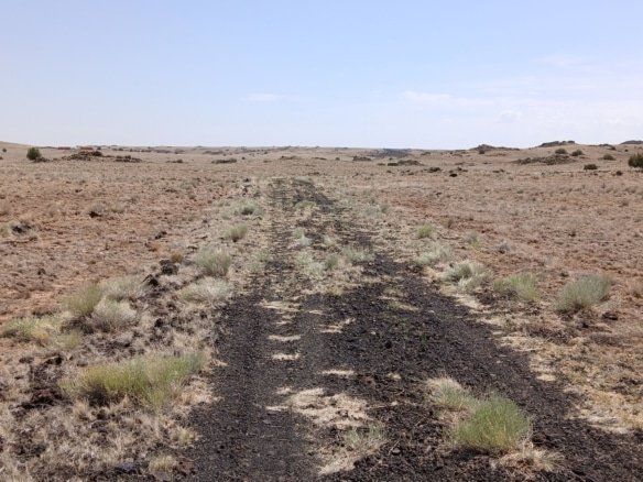 1 Acre of Land for Sale in Concho Arizona that's perfect for camping, is RV friendly, or the site of your cabin.