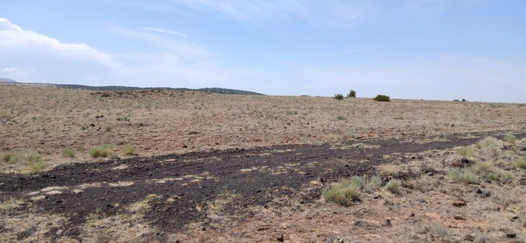 Buildable 1 acre lot with RV access in Apache County, Arizona - photo 8