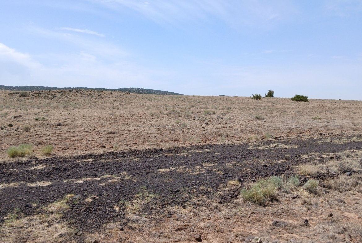 1 Acre Land, Concho AZ, Off-Grid, RV Friendly