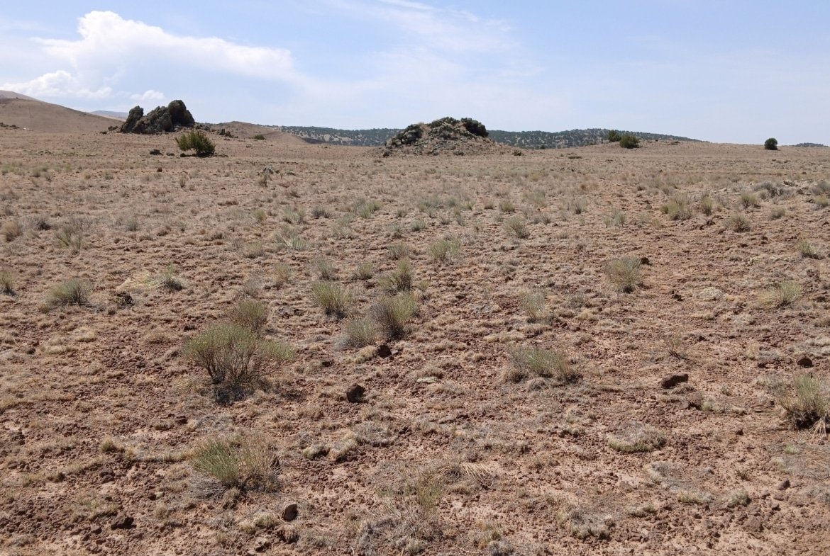 1 Acre Land, Concho AZ, Off-Grid, RV Friendly