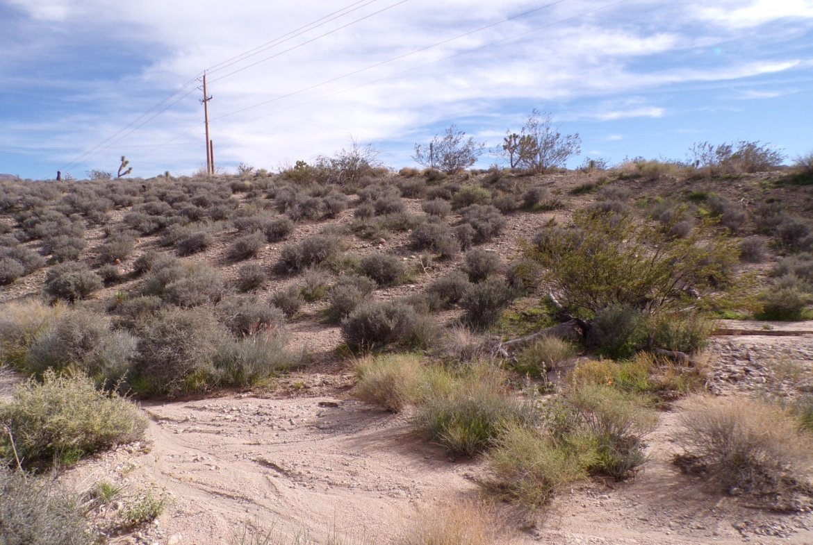 Live Your Way! 1.25 Acres – Build a Home or Bring Your RV!