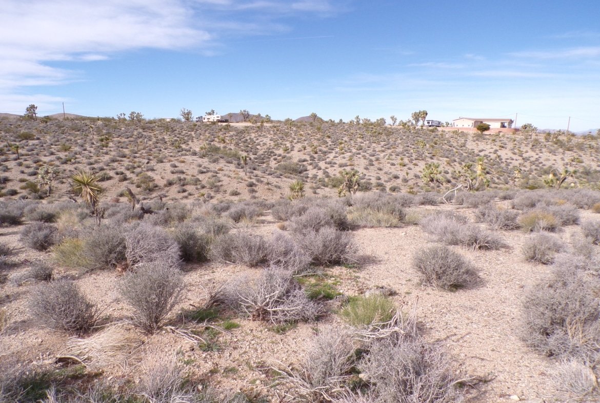 Live Your Way! 1.25 Acres – Build a Home or Bring Your RV!