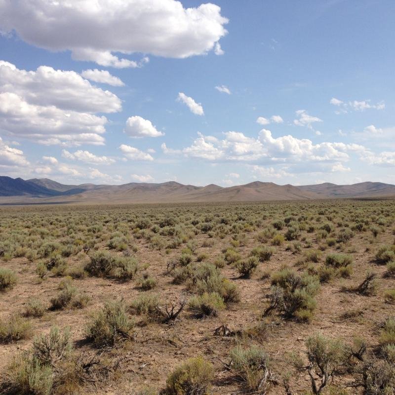 2013-07-04_15_37_14_Sagebrush-steppe_along_U.S._Route_93_in_central_Elko_County_in_Nevada-min