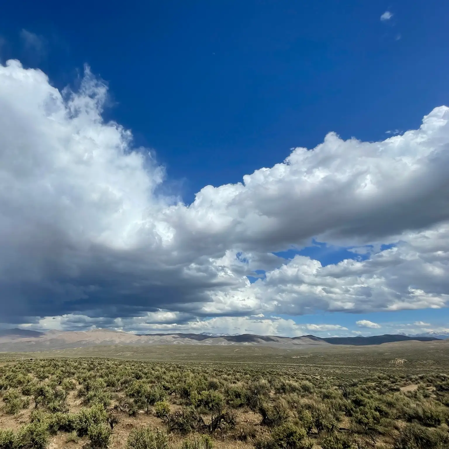 2DED7BB1-B791-46C4-95D3-778535A26A7E