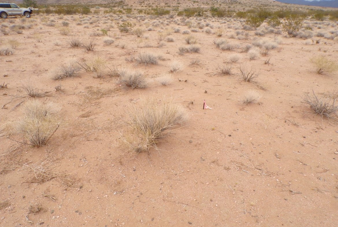 RV-Friendly Lot – 0.28 Acre to Build Your Manufactured Home!