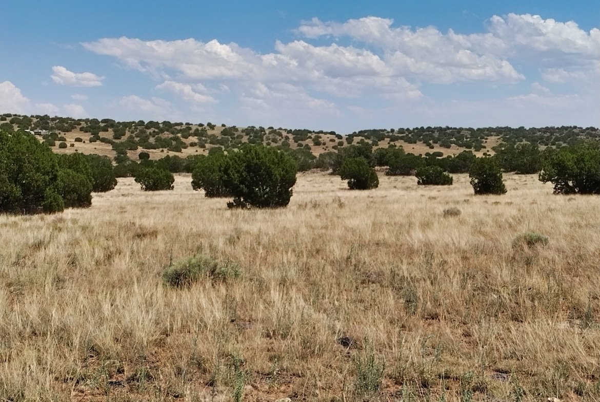 1.05 AC Buildable, Residential Lot in AZ – Peaceful Concho Location