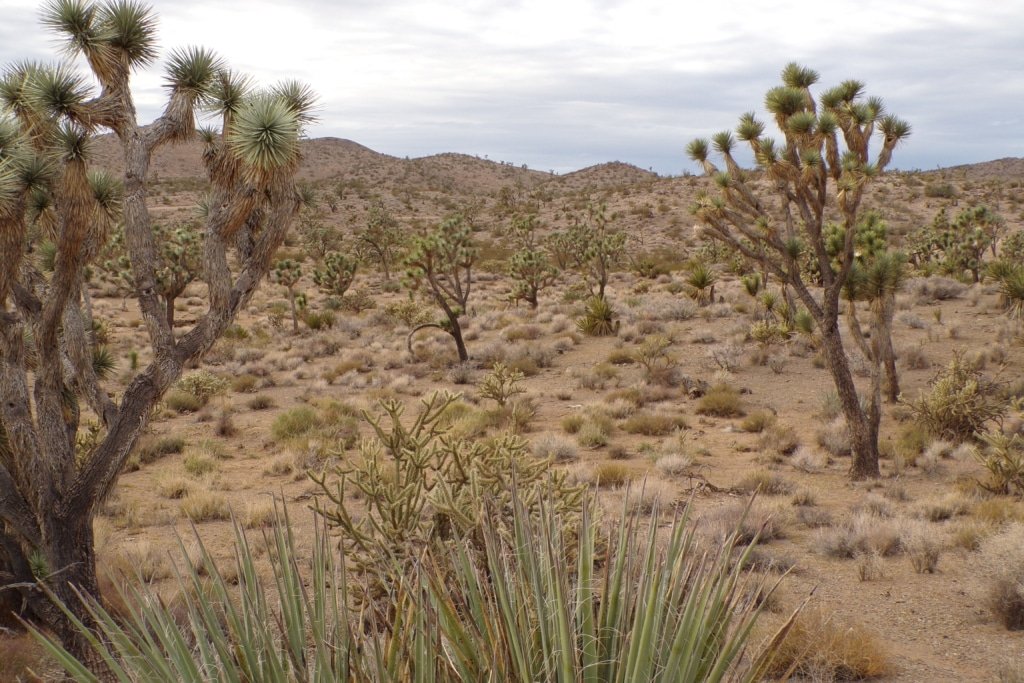 Owner-financed 1 acre lot Dolan Springs AZ buildable RV camping - photo 10