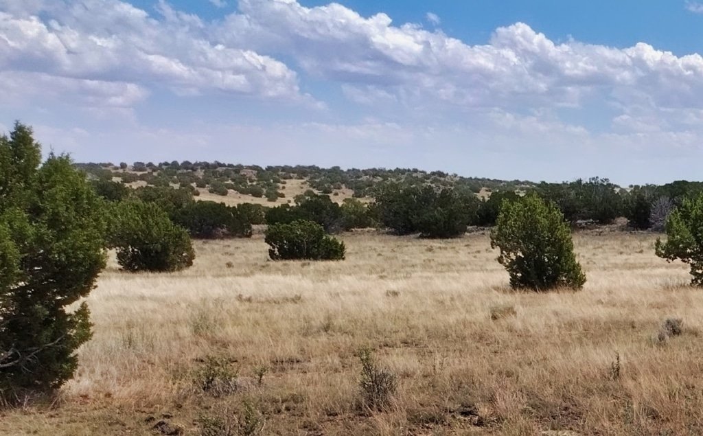 1.05 acre parcel with road access in Apache County, Arizona - photo 9