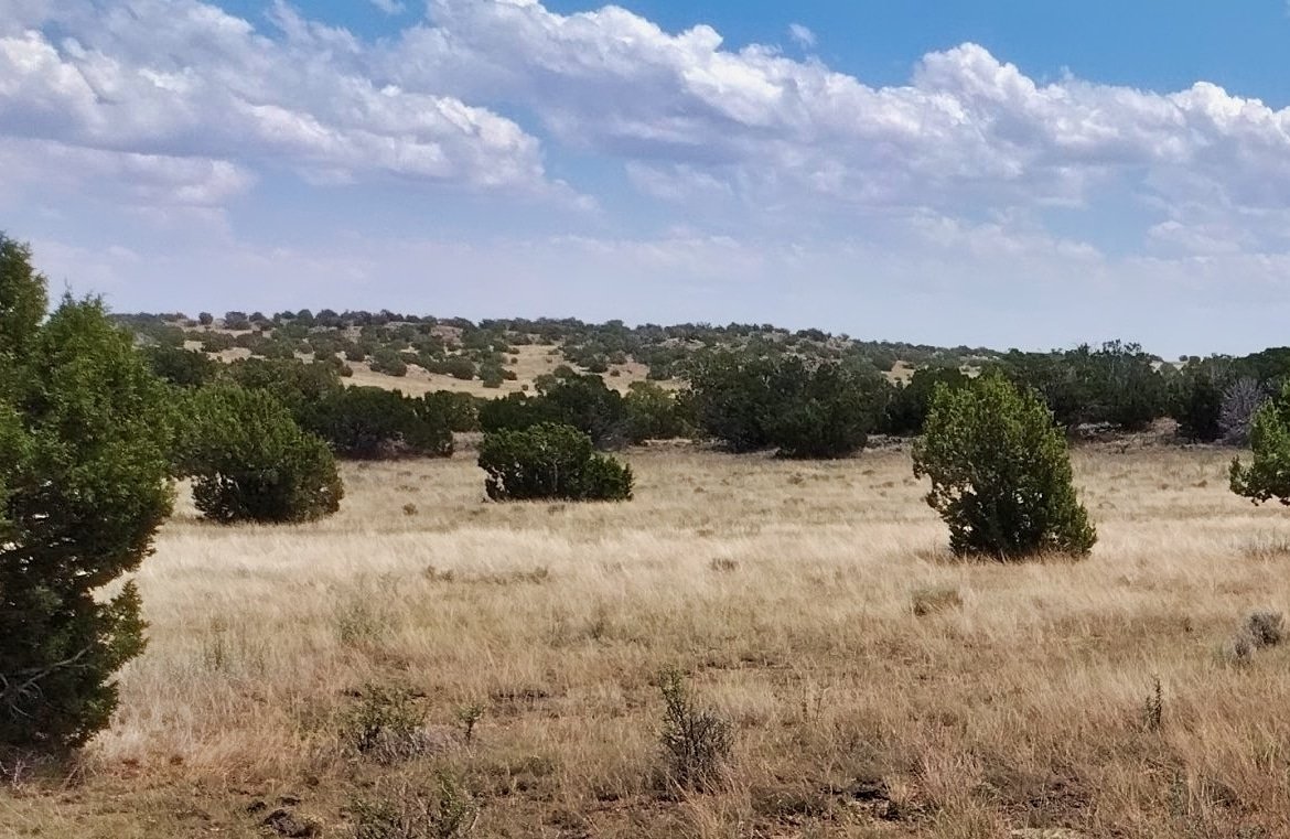 1.05 AC Buildable, Residential Lot in AZ – Peaceful Concho Location
