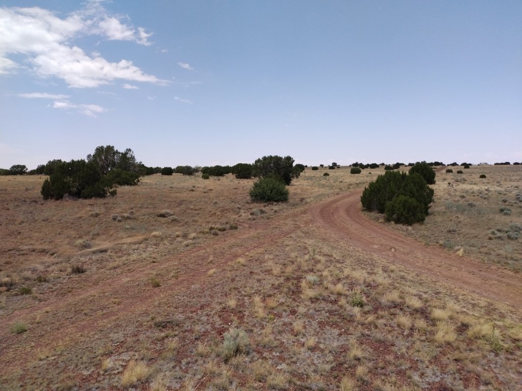 Flat terrain residential lot near Concho, Arizona for sale - photo 8