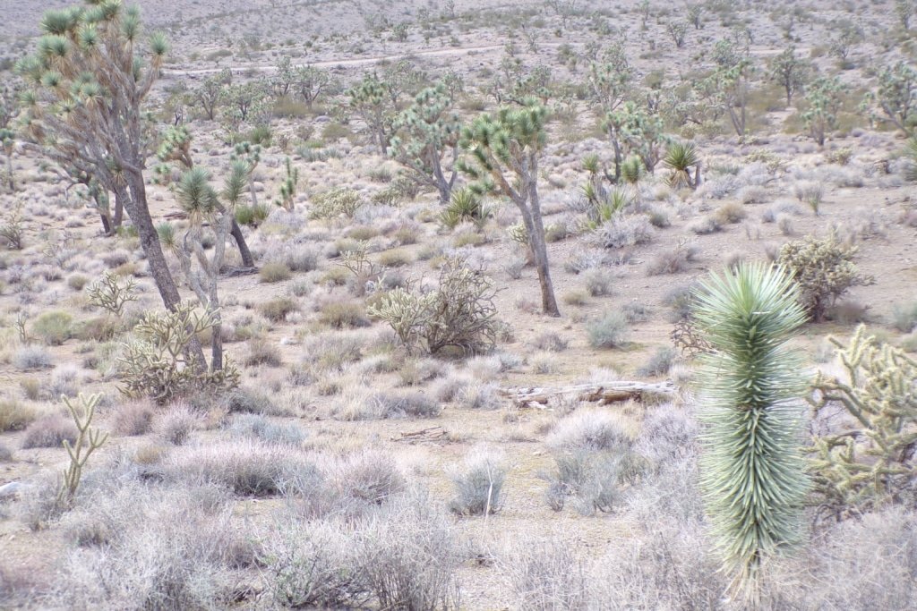 1 acre Dolan Springs Arizona recreational land mountain view - photo 9