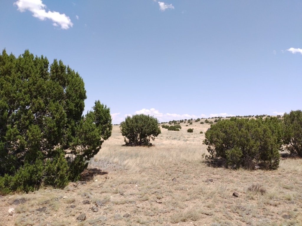 Fenced 1.05 acre lot in Concho, Arizona ready to build - photo 6