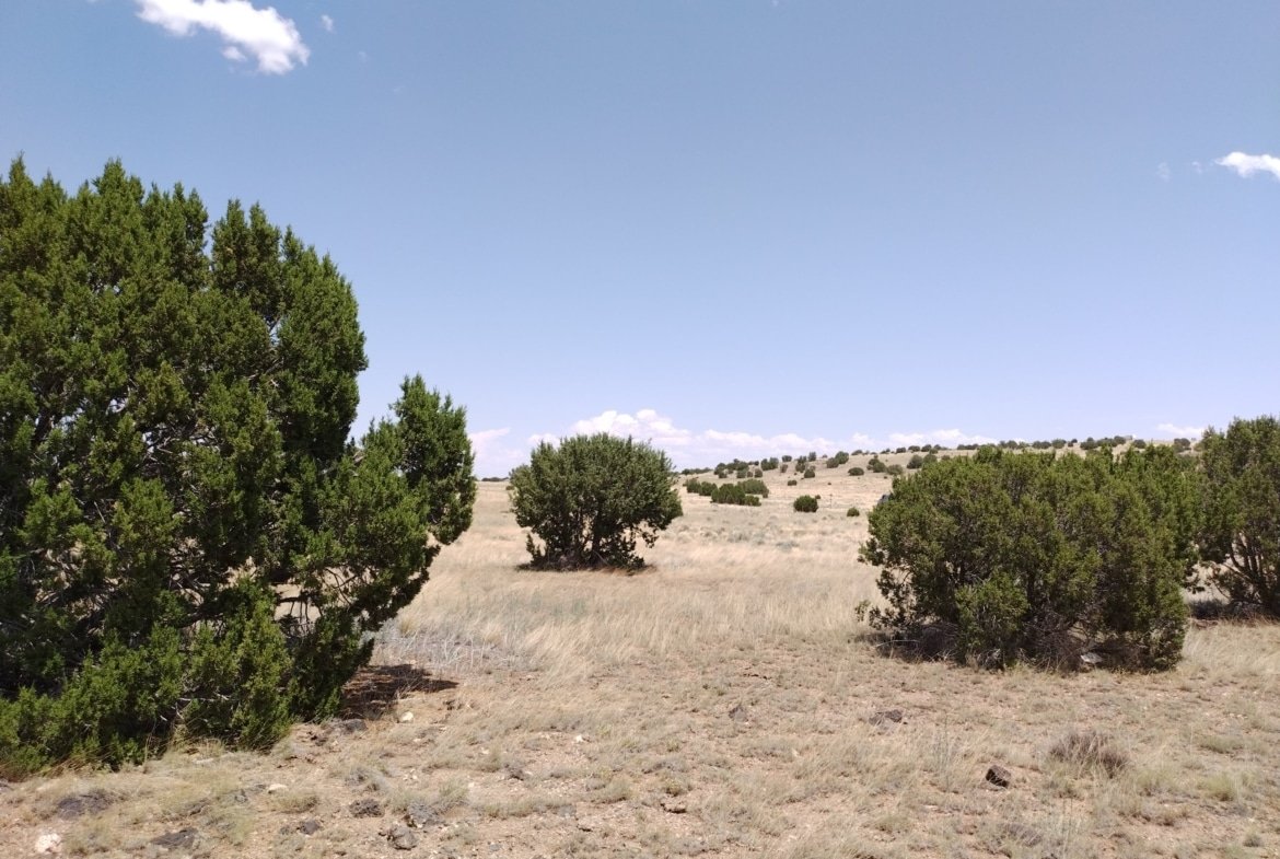 1.05 AC Buildable, Residential Lot in AZ – Peaceful Concho Location