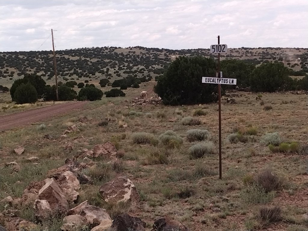 Buildable land for sale in Apache County, Arizona near Concho - photo 5