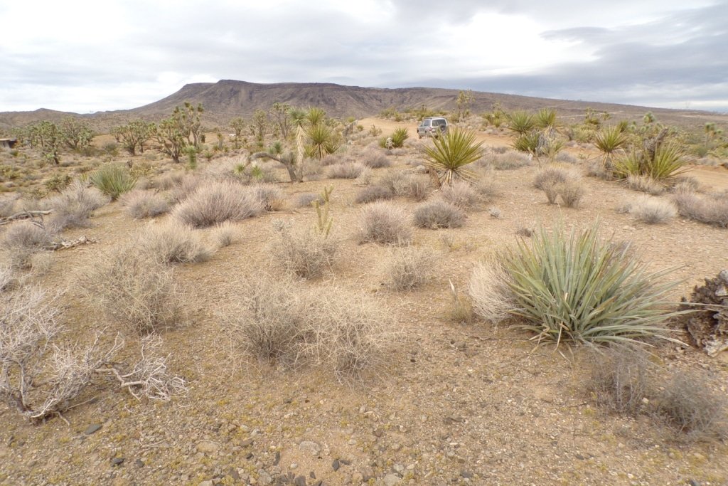 1 acre land Dolan Springs Arizona RV camping mountain views - photo 7