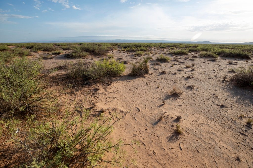 Culberson County Texas land listing: 5 acres open grassland - photo 3