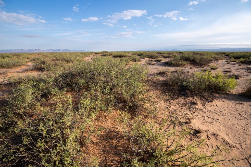 5-acre property with road access near Van Horn, Texas - photo 4