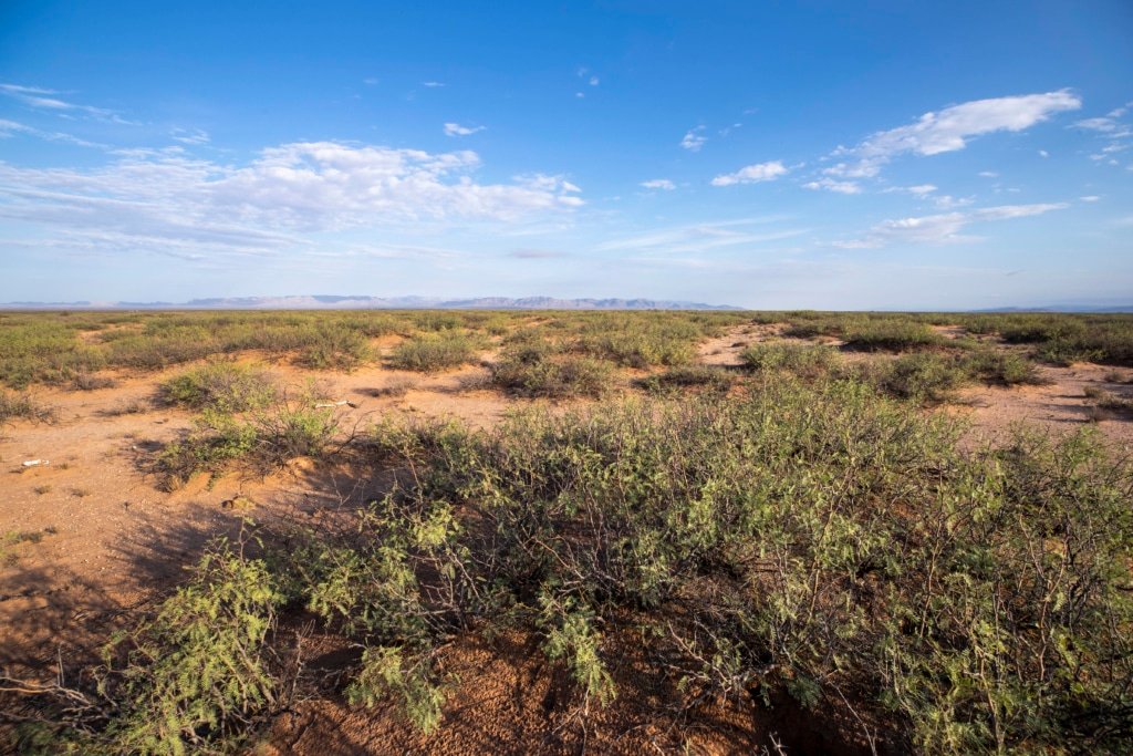 Buildable West Texas land: 5 acres unrestricted in Culberson County - photo 5