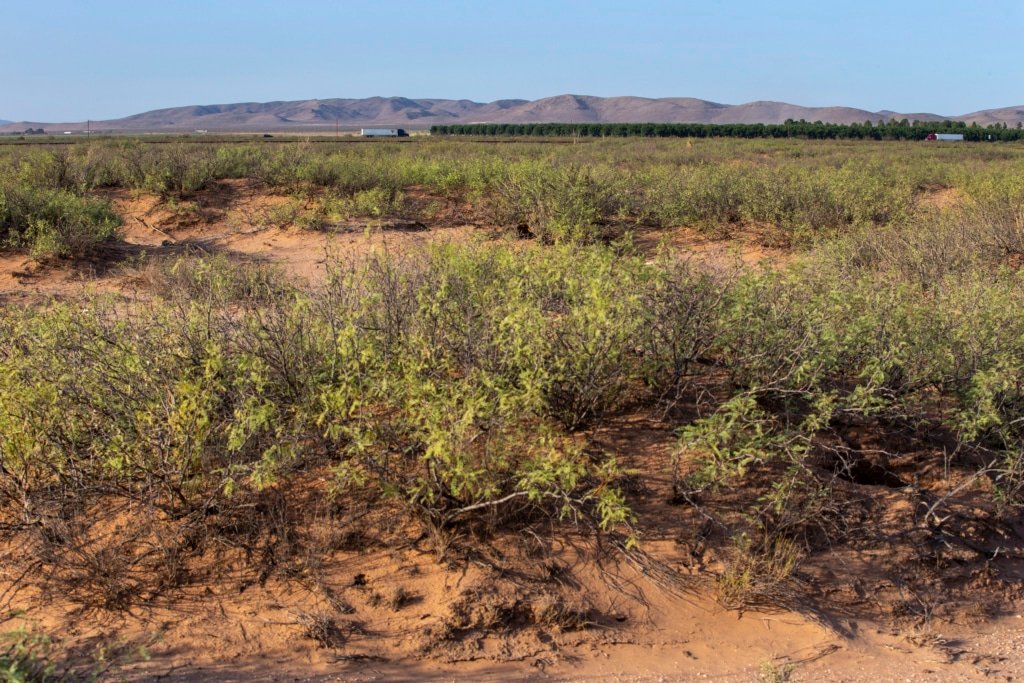 5-acre RV and camping allowed land in Culberson County - photo 8