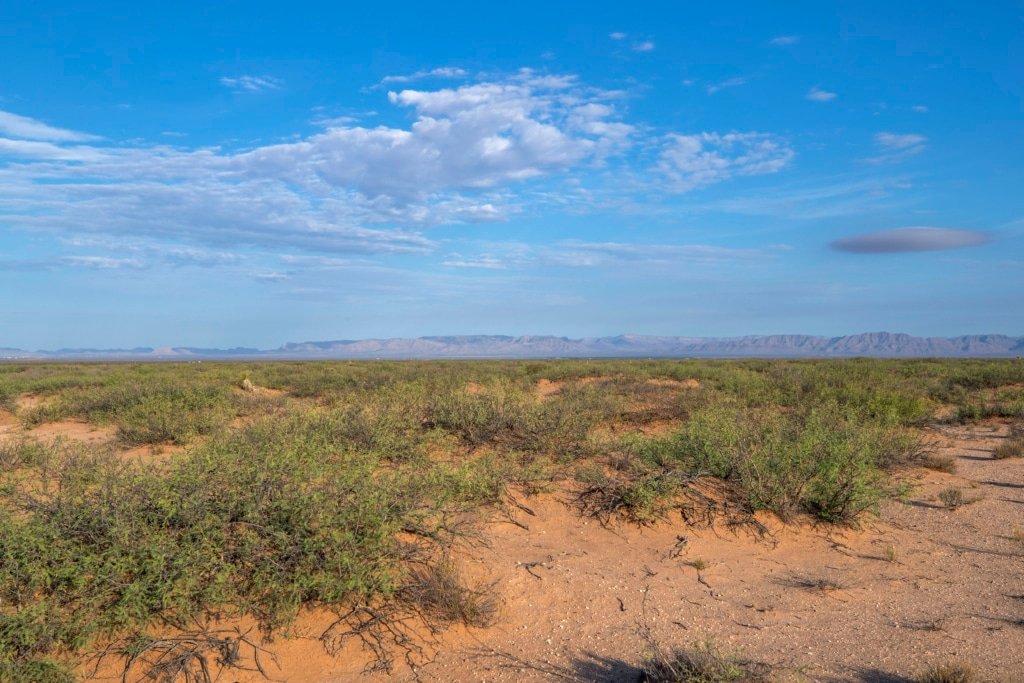 West Texas acreage: 5 unrestricted acres with sandy soil - photo 9