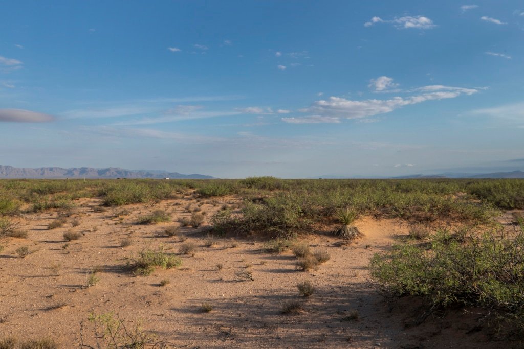 5-acre buildable lot with wildlife presence in Van Horn area - photo 10