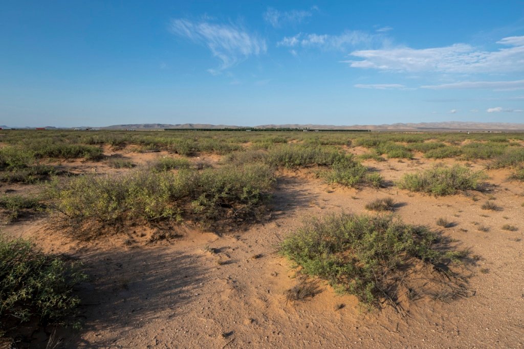 Culberson County land for sale: 5 acres open and flat - photo 11