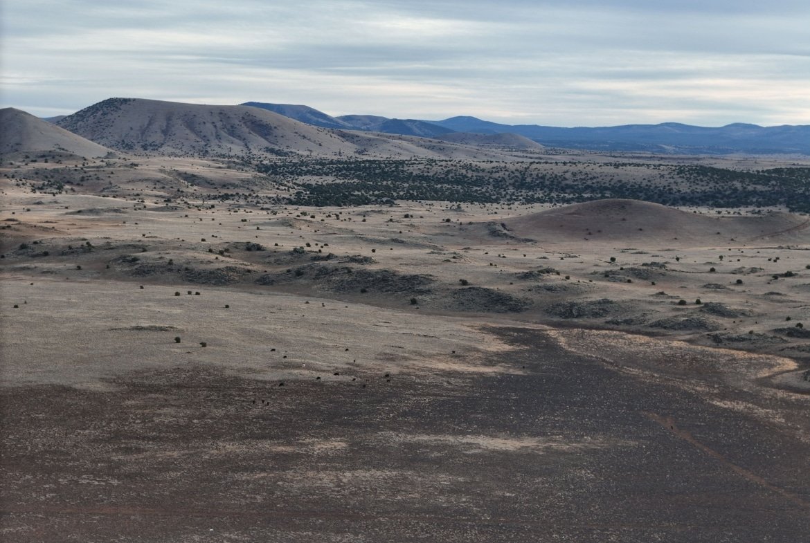 1 Acre Land, Concho AZ, Off-Grid, RV Friendly