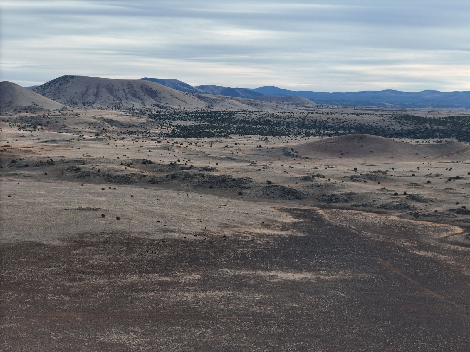 DJI_20260106163516_0379_D