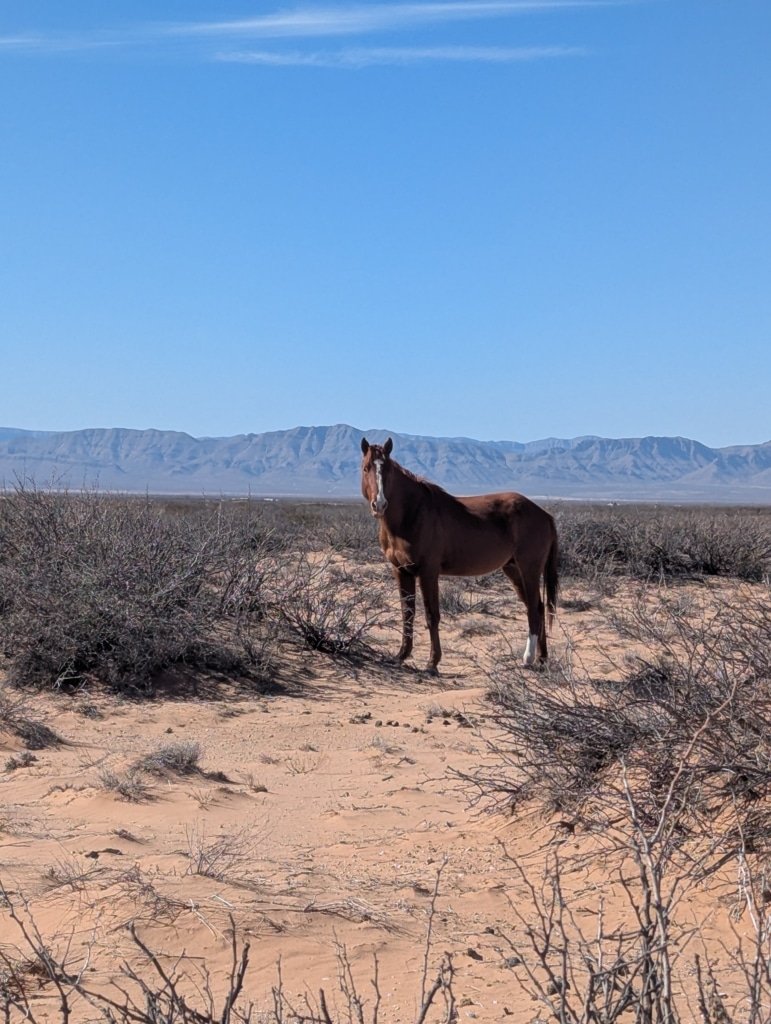 5 Acres, West Texas Unrestricted