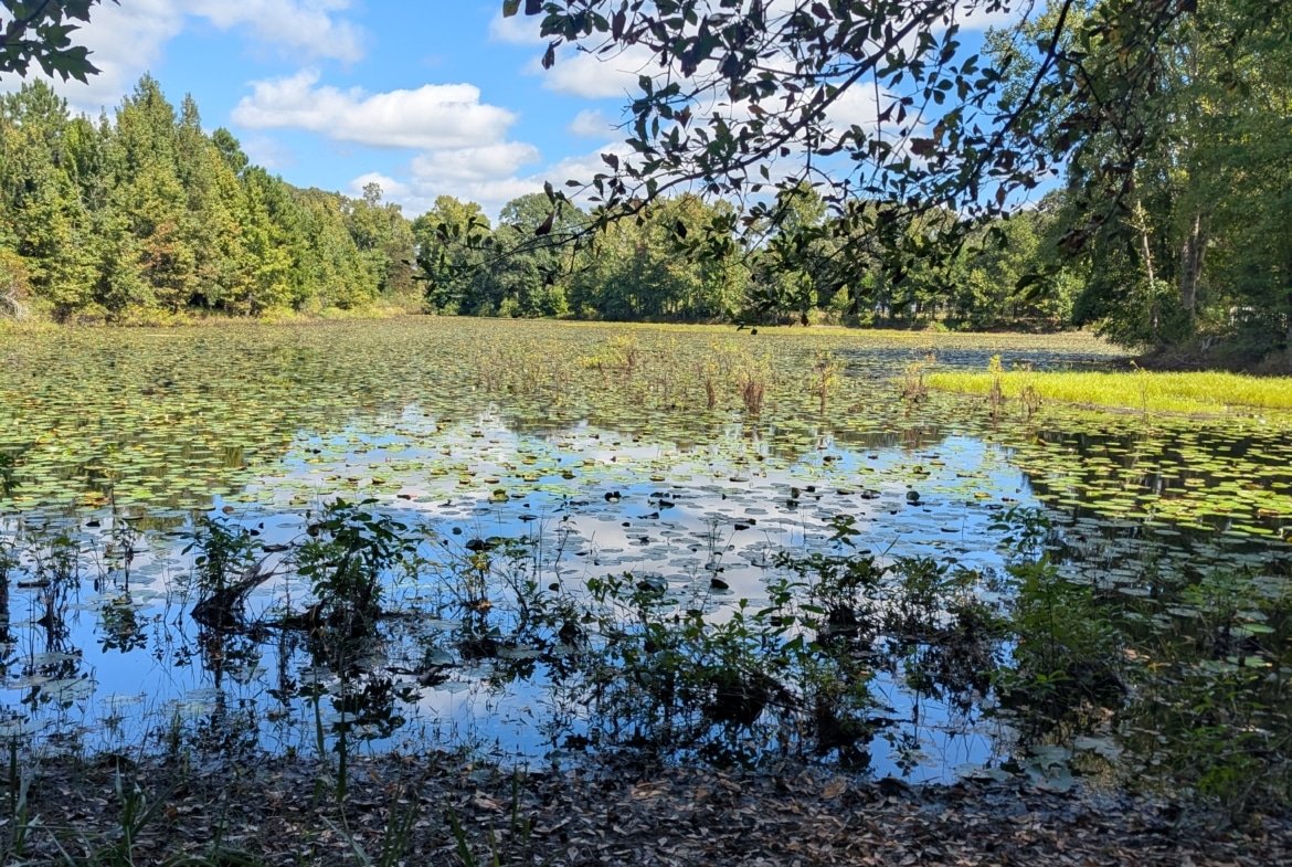 Waterfront RV or Tiny Home Lot in East Texas