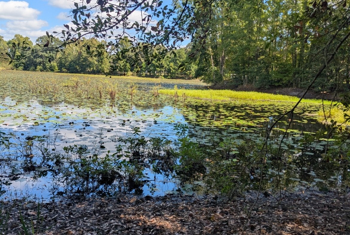 Waterfront RV or Tiny Home Lot in East Texas