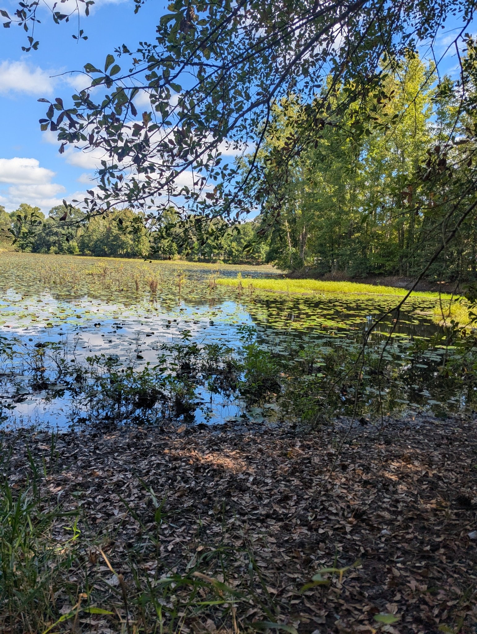 PXL_20250923_173623402