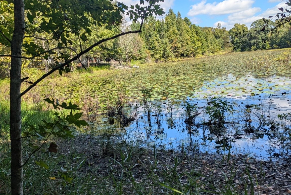 Waterfront RV or Tiny Home Lot in East Texas