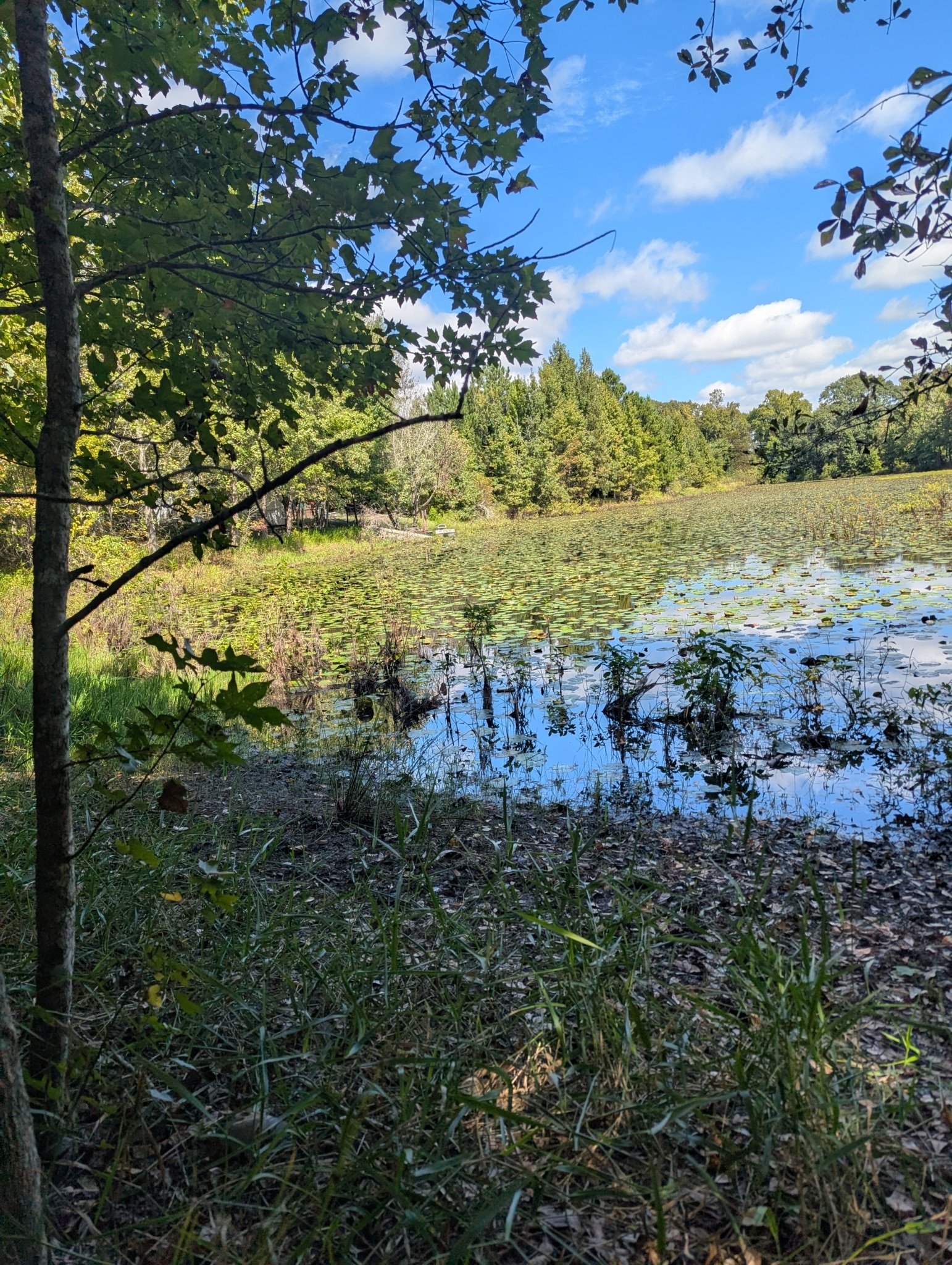 PXL_20250923_173625640