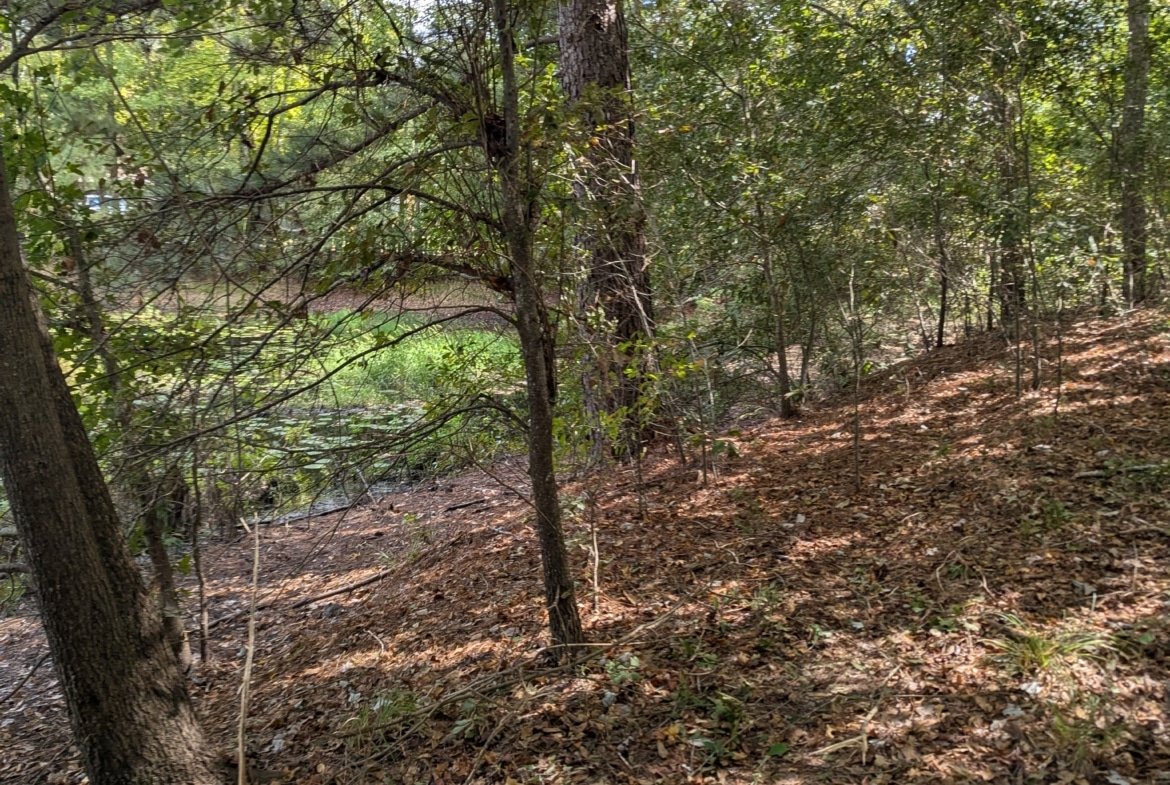 Waterfront RV or Tiny Home Lot in East Texas