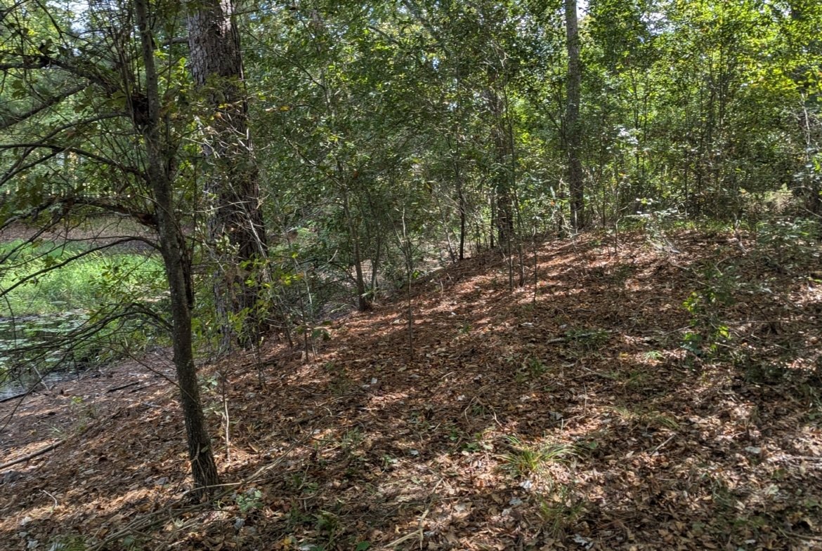 Waterfront RV or Tiny Home Lot in East Texas