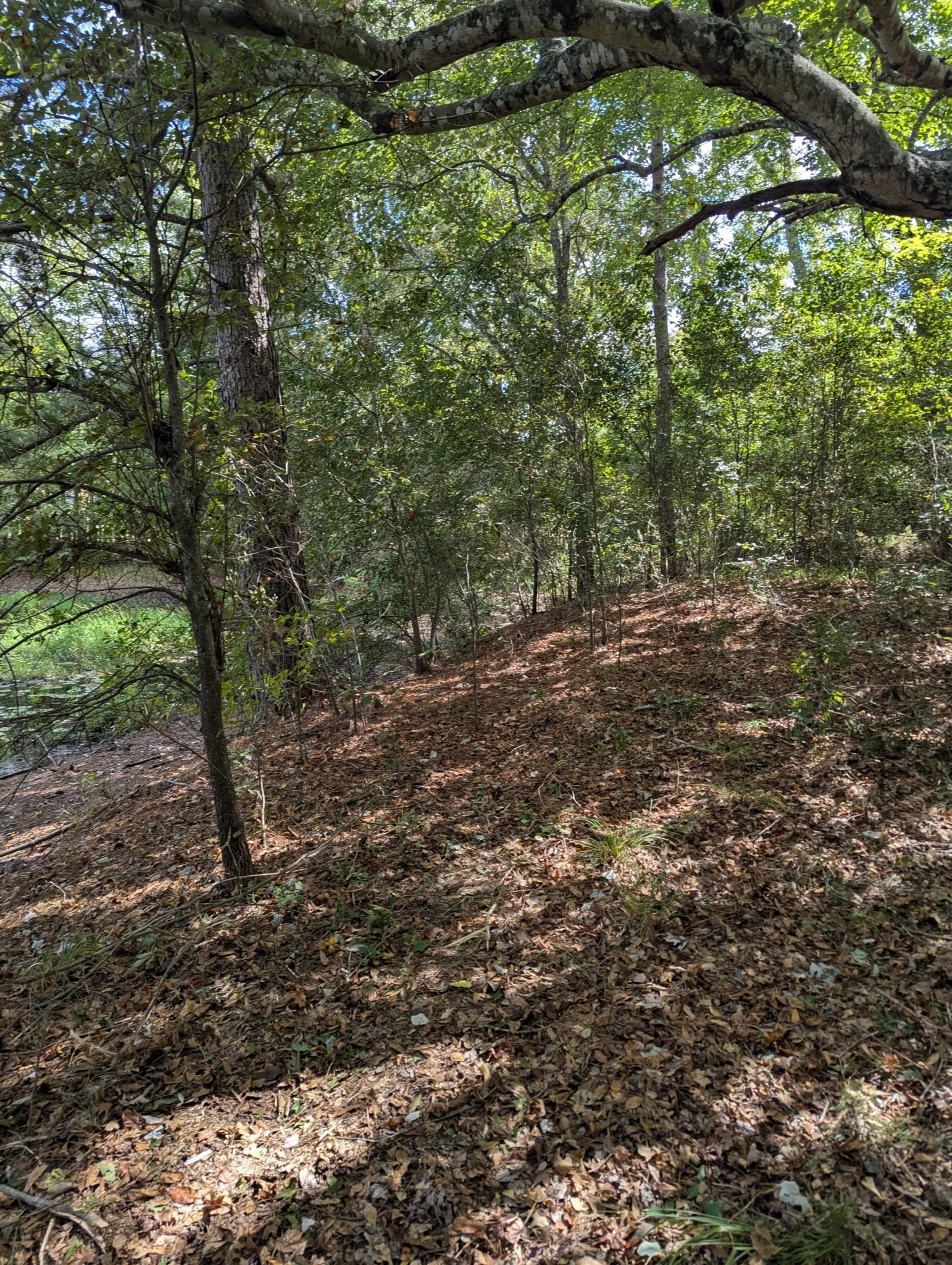 PXL_20250923_175542418