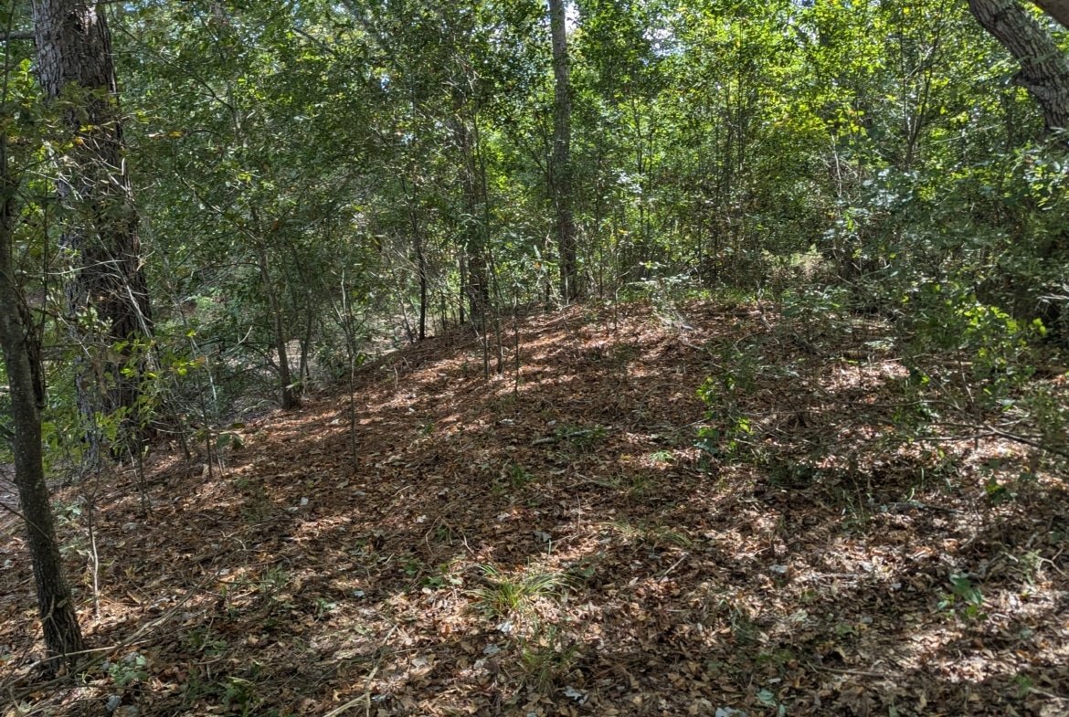 Waterfront RV or Tiny Home Lot in East Texas