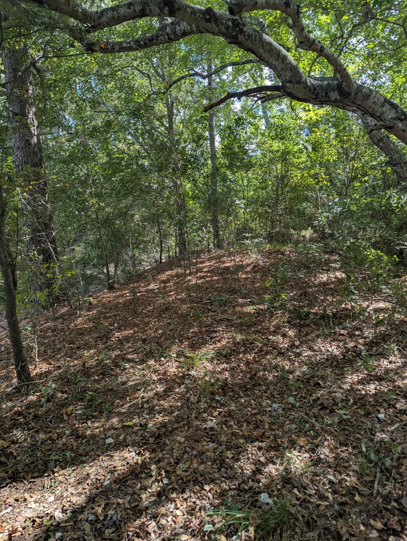 PXL_20250923_175542919