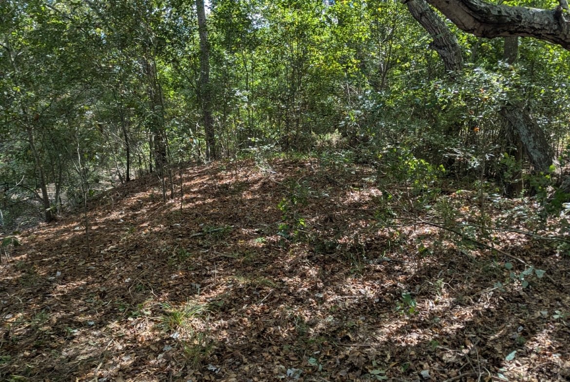 Waterfront RV or Tiny Home Lot in East Texas