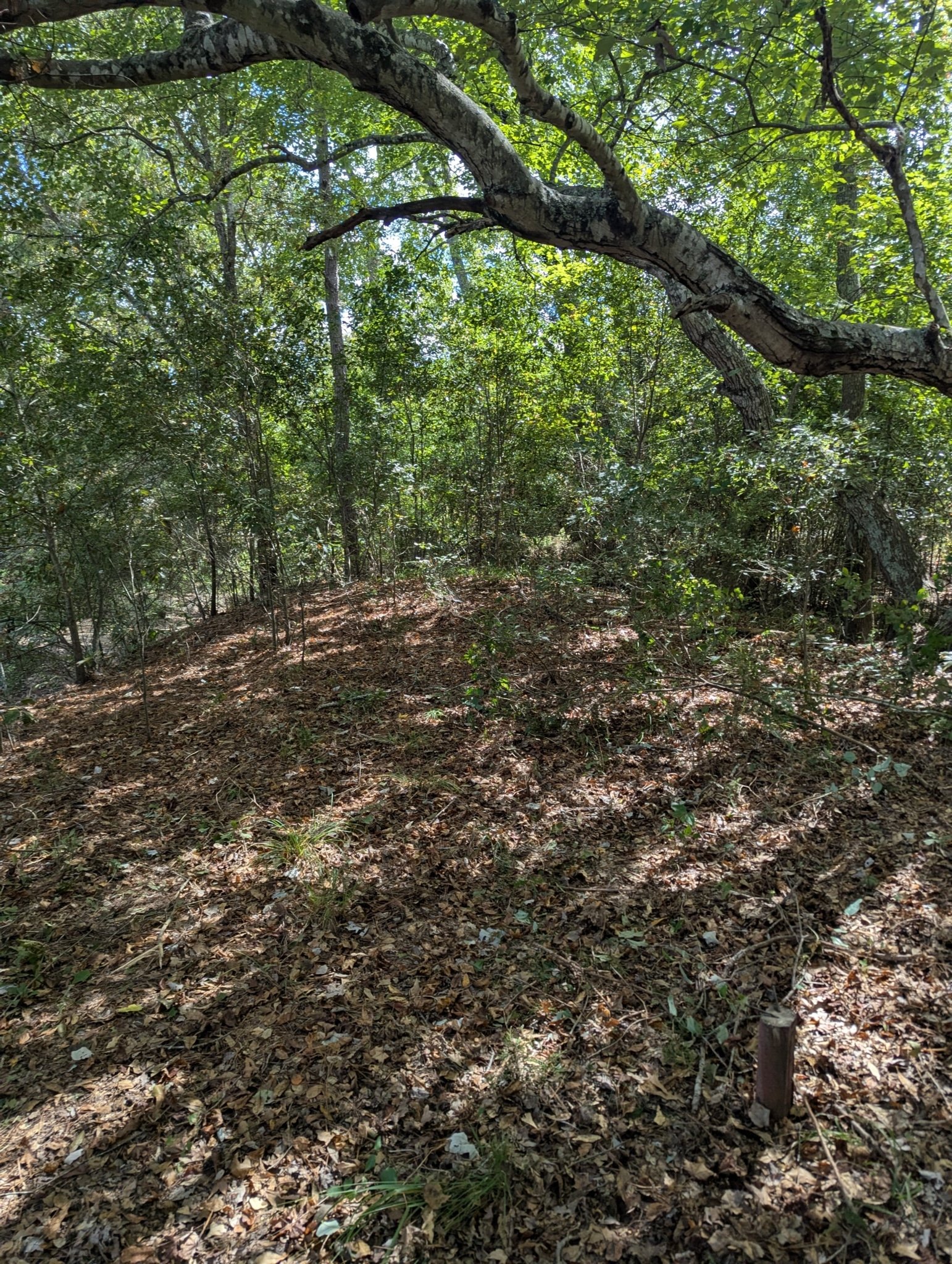 PXL_20250923_175543442