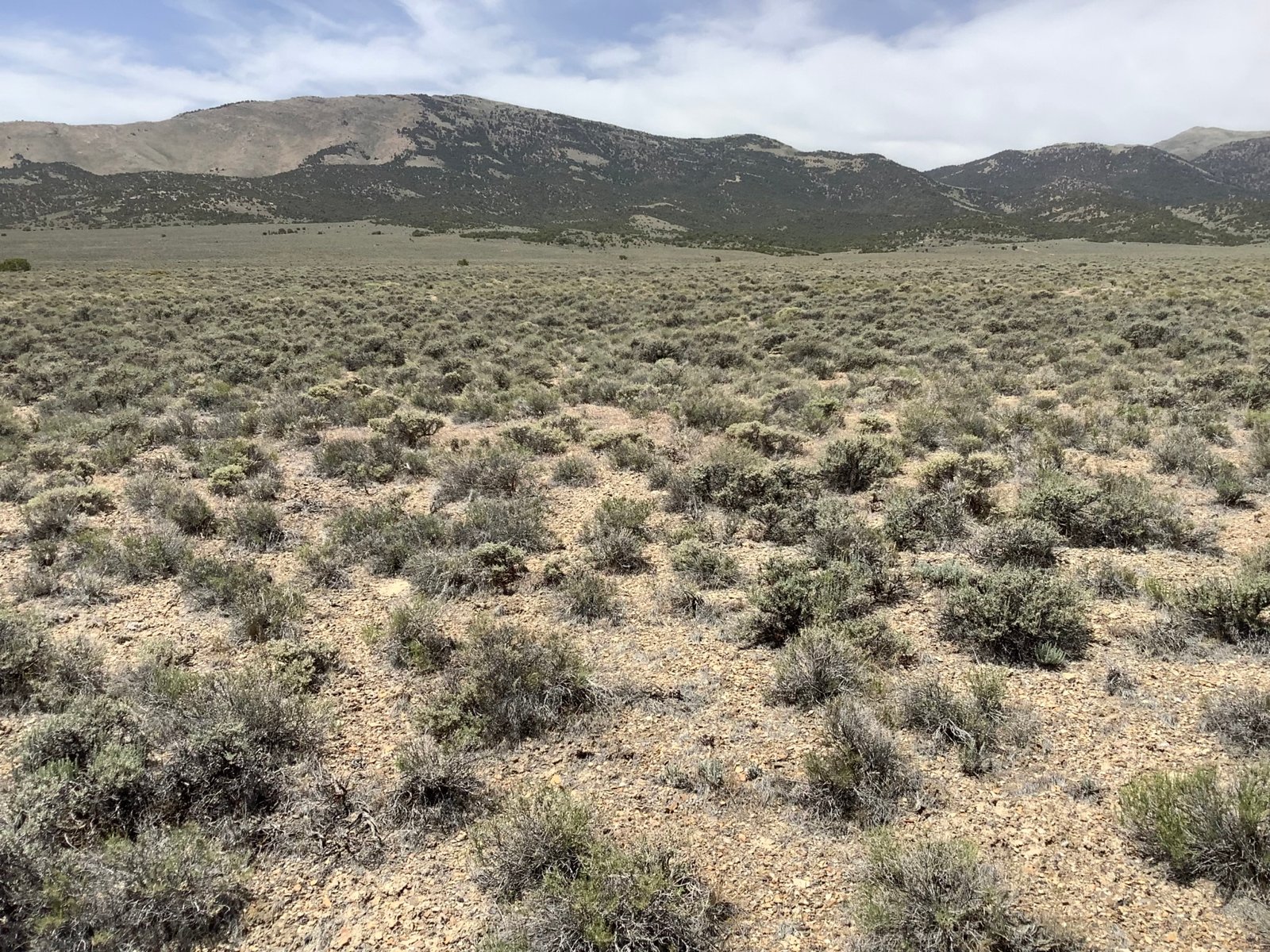 Photo_1_NV_Elko_011-008-017_DEODORA ST_ASPEN DR_1.91 Acres_04.08.2022