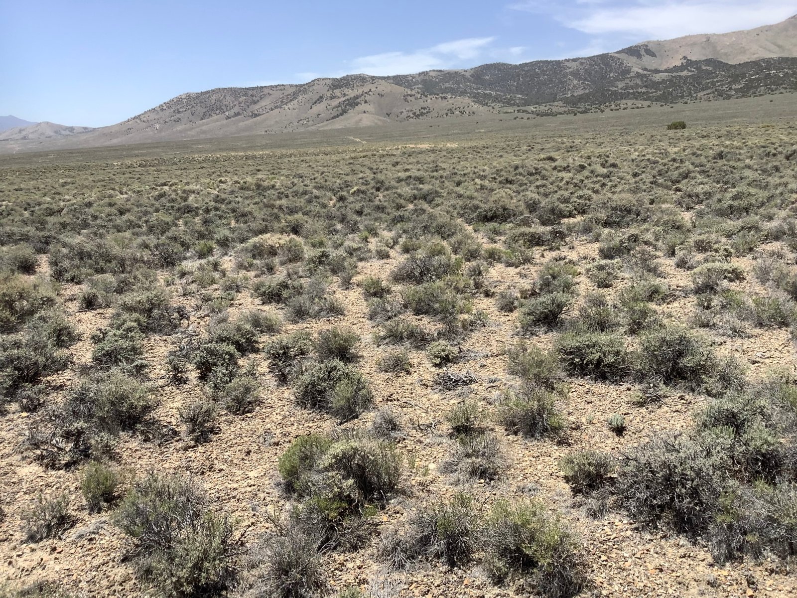 Photo_6_NV_Elko_011-008-017_DEODORA ST_ASPEN DR_1.91 Acres_04.08.2022