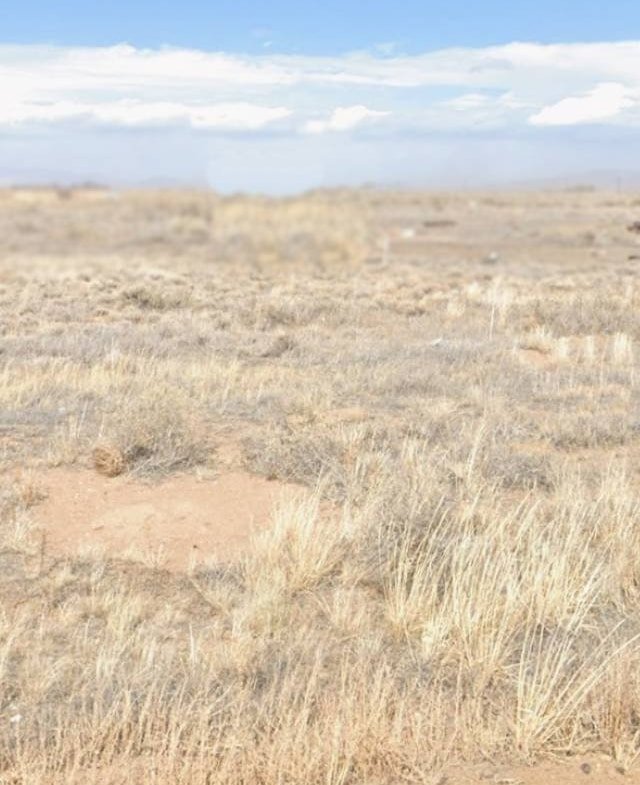⛰️ 5 Acres OFF-GRID PARADISE in Costilla County, CO! ⛰️