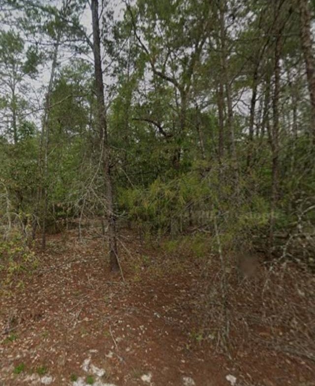 🏕️ Own this Putnam County 0.2-acre lot TODAY—near many Lakes! 🏕️
