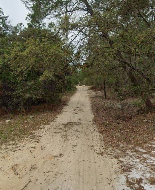 🏕️ Own this Putnam County 0.2-acre lot TODAY—near many Lakes! 🏕️