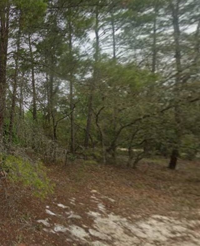 🏕️ Own this Putnam County 0.2-acre lot TODAY—near many Lakes! 🏕️