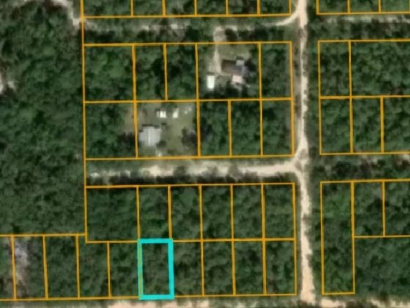 0.2 Acres Land for Sale Near Lack in Satsuma Putnam County