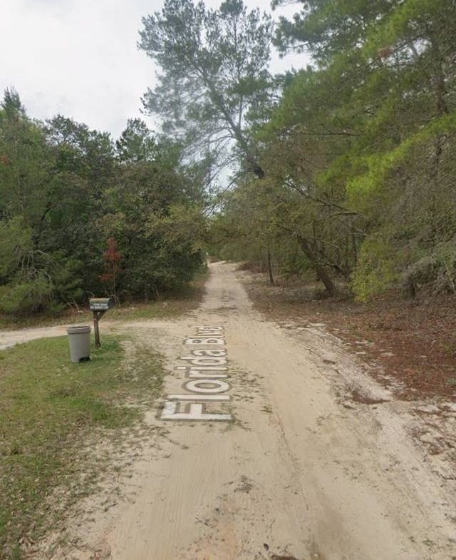 🏕️ Own this Putnam County 0.2-acre lot TODAY—near many Lakes! 🏕️