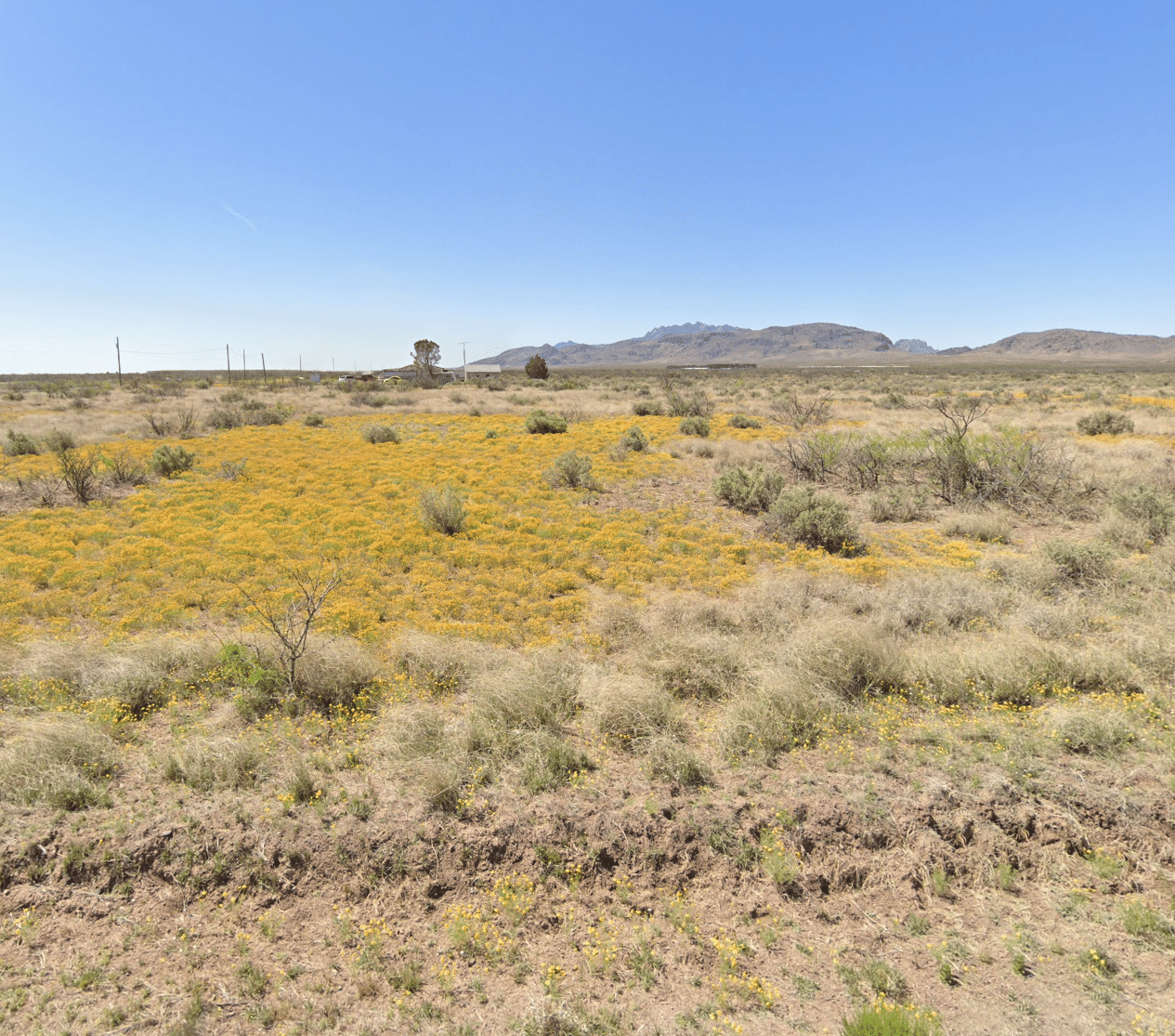 street_view_facing_south 1 Acres Land in Deming for Sale